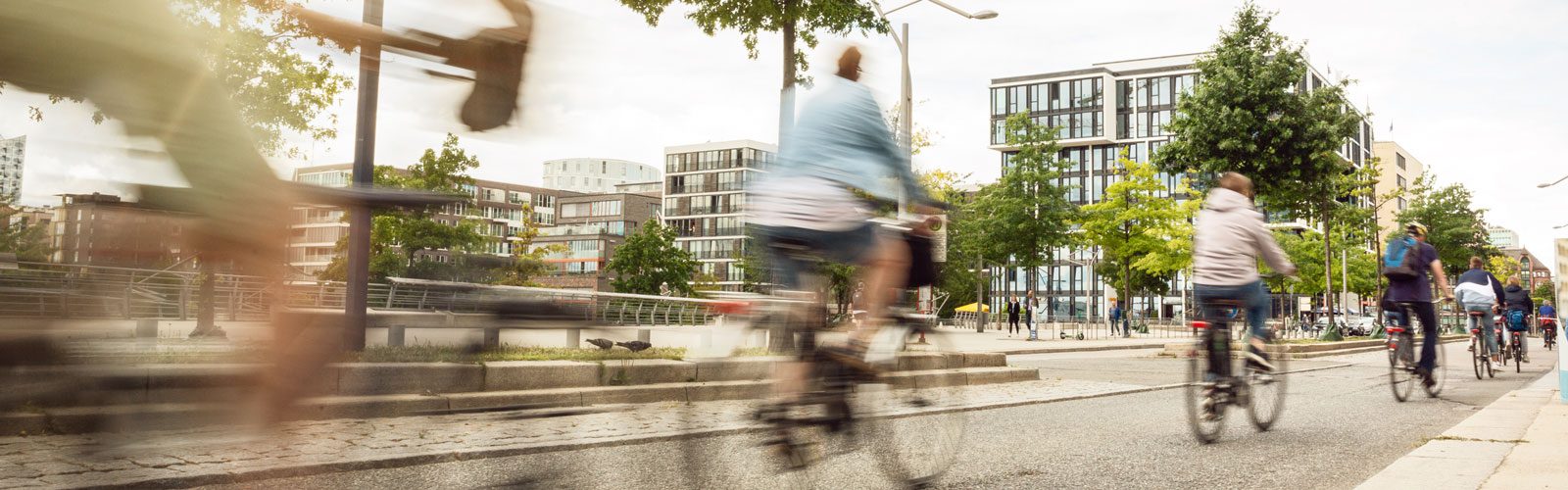 AMIGO-Abschlusstagung